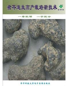 内蒙古猪苓栽培技术